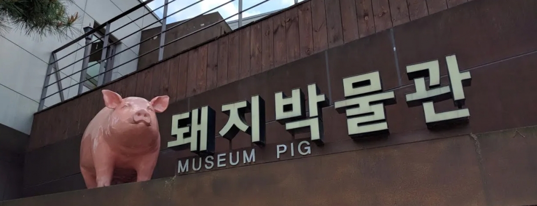 小豬博物館