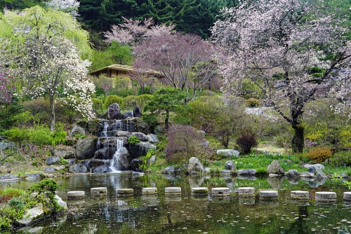 The Garden of Morning Calm(Korean Theme Garden)