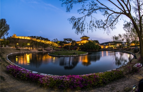 Suwon Hwaseong Fortress_Changnyong Gate_spring scene